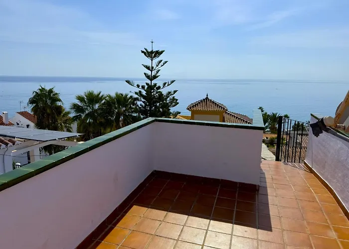 Willa Paradise - Azalea *